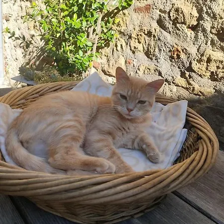 Σπίτι διακοπών 
